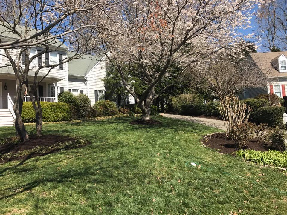 Landscaping by Advance Lawn Sprinklers & Landscaping, LLC in Greater Richmond, VA